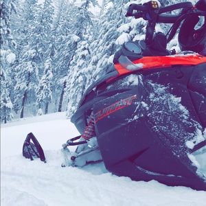 Meet your Posher, Shelby